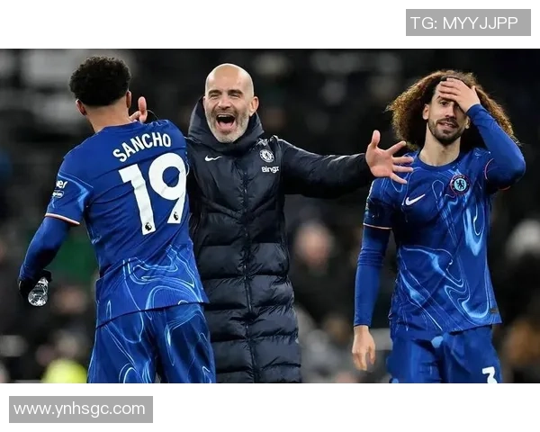 热刺与普罗夫精彩对决直播全程回顾与分析尽在此处