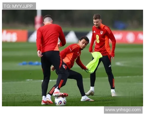 西班牙男篮迎战比利时队全力争胜精彩对决即将上演