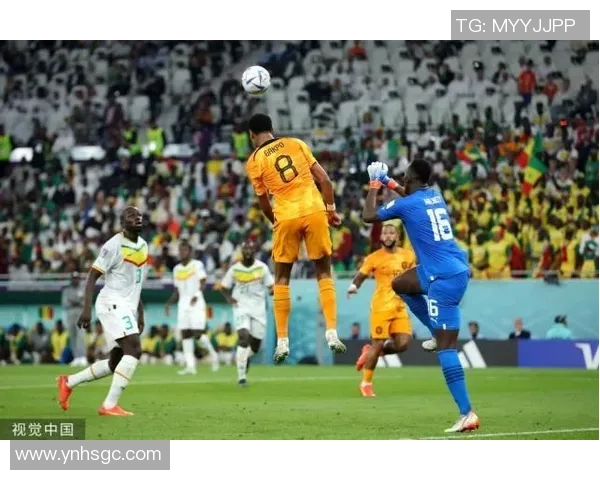 塞内加尔与瑞士控球对决分析揭示战术博弈与球队优势