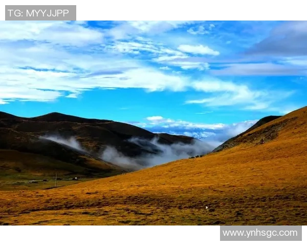 崔永熙的艺术之路与人生哲学探讨:从初心到巅峰的心灵旅程 崔永熙的艺术之路与人生哲学探讨:从初心到巅峰的心灵旅程