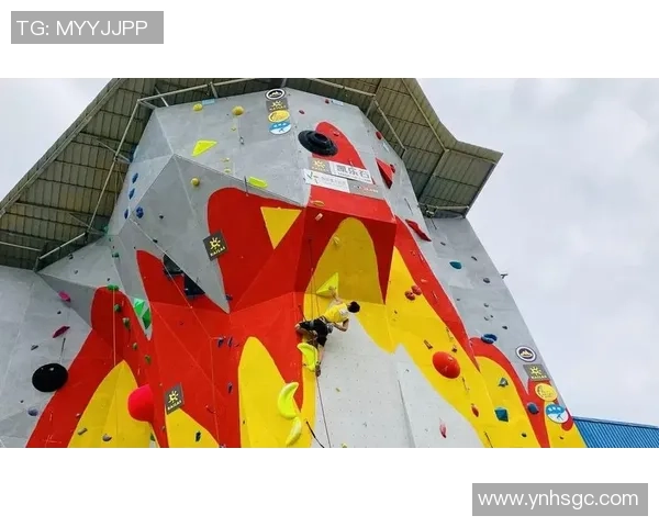 成都攀岩队个人能力表现的数据分析与提升策略探讨MBA