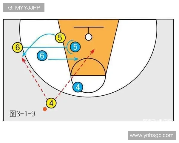 杭州篮球队的转换之道:深度解析战术与球员的完美结合